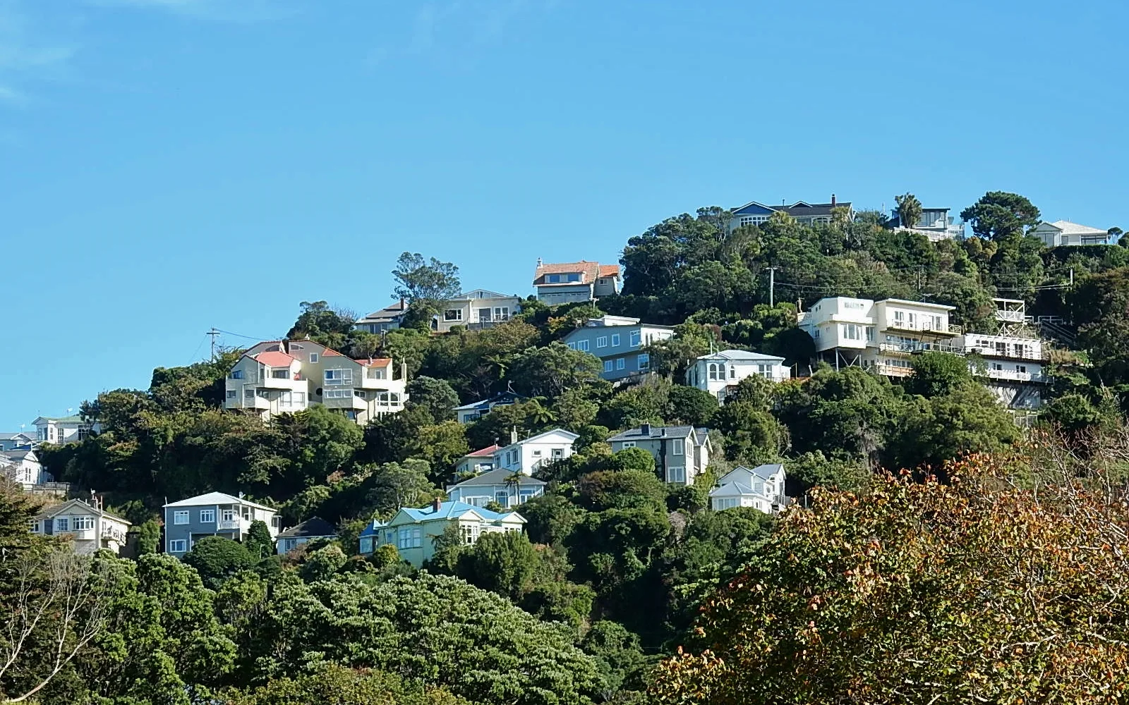 Residential homes with mature landscaping exemplifying the family-oriented neighborhoods that characterize suburban communities